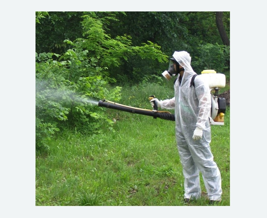 обработка территории от клещей в Морозовске