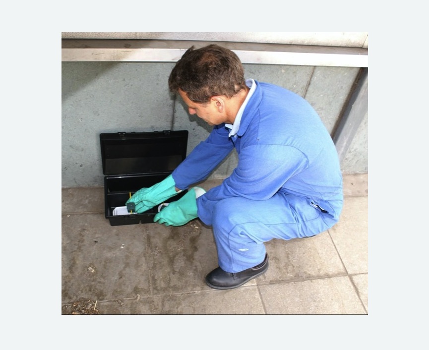 Дератизация помещения в Морозовске Дератизация помещения