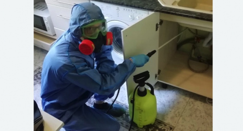 Уничтожение муравьев в квартире. Морозовск