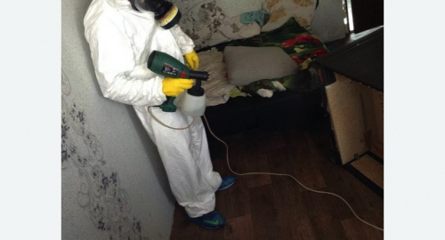 Обработка квартир от насекомых в Морозовске