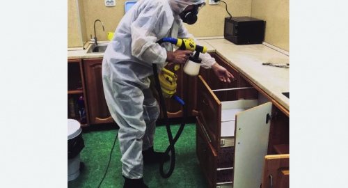 Дезинсекция квартиры. Морозовск