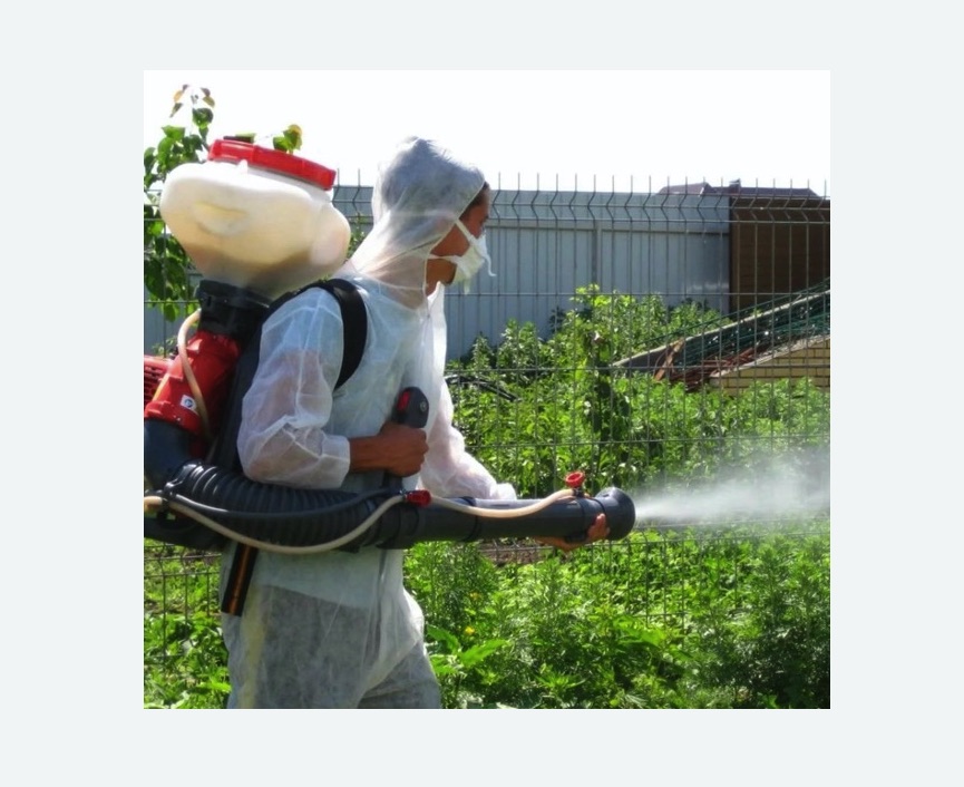 Акарицидная обработка территории в Морозовске