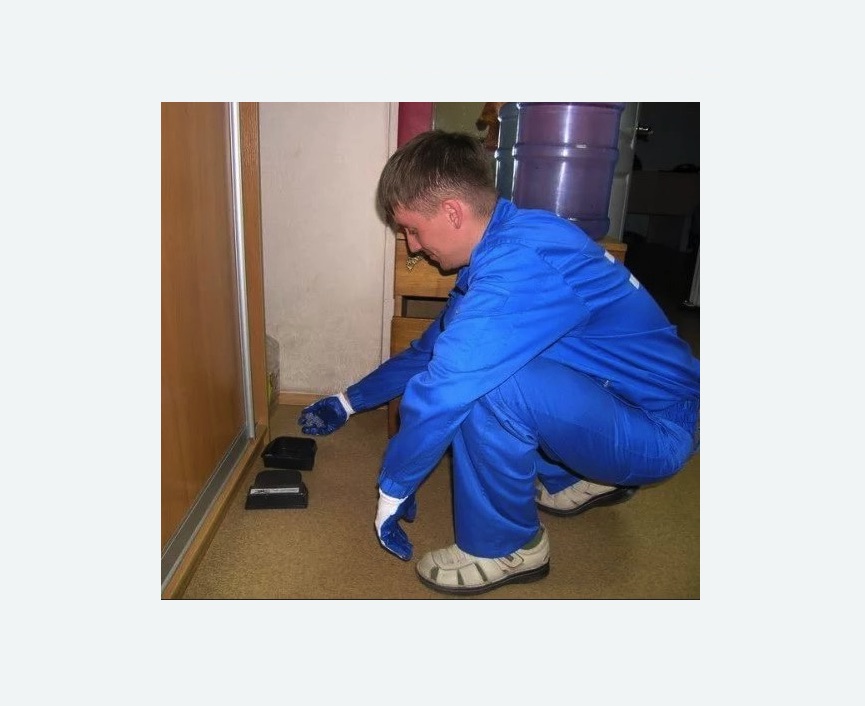 Дератизация крыс в Морозовске