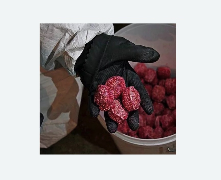 Обработка от крыс в Морозовске