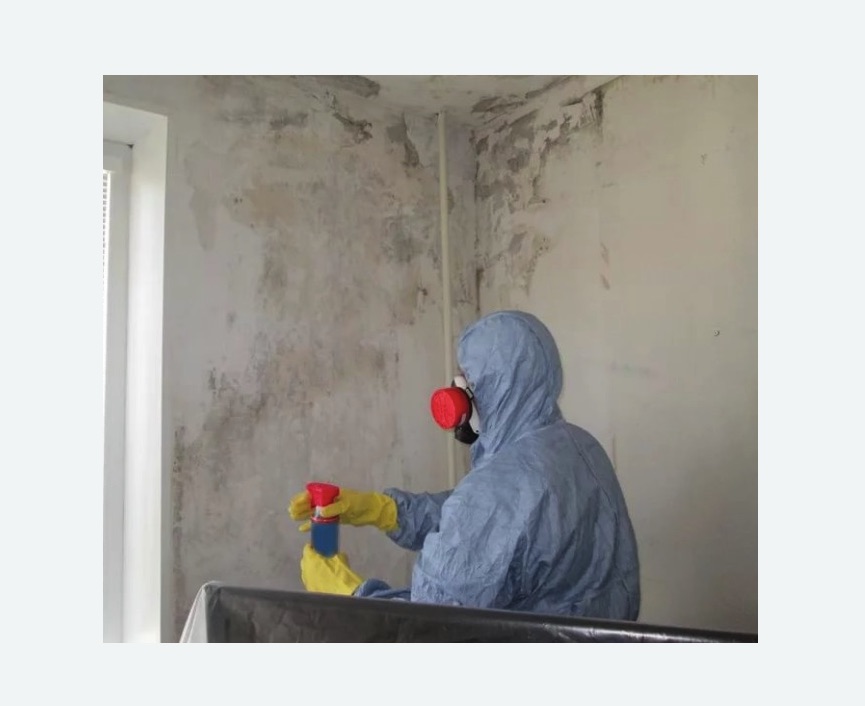 Удаление плесени в квартире в Морозовске