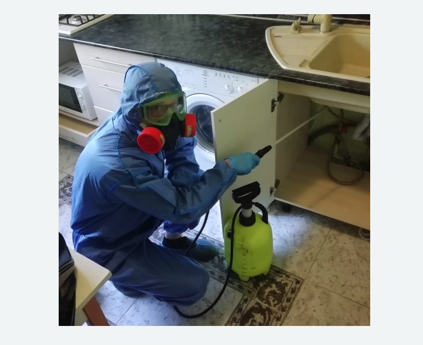 обработка от муравьев в квартире в Морозовске