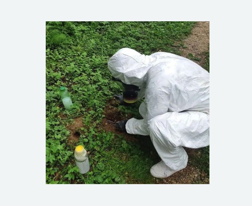 уничтожение кротов на участке в Морозовске