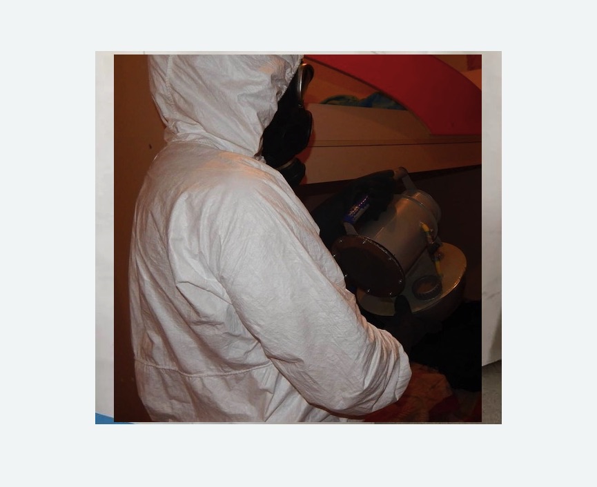 Дезинфекция от муравьев в Морозовске