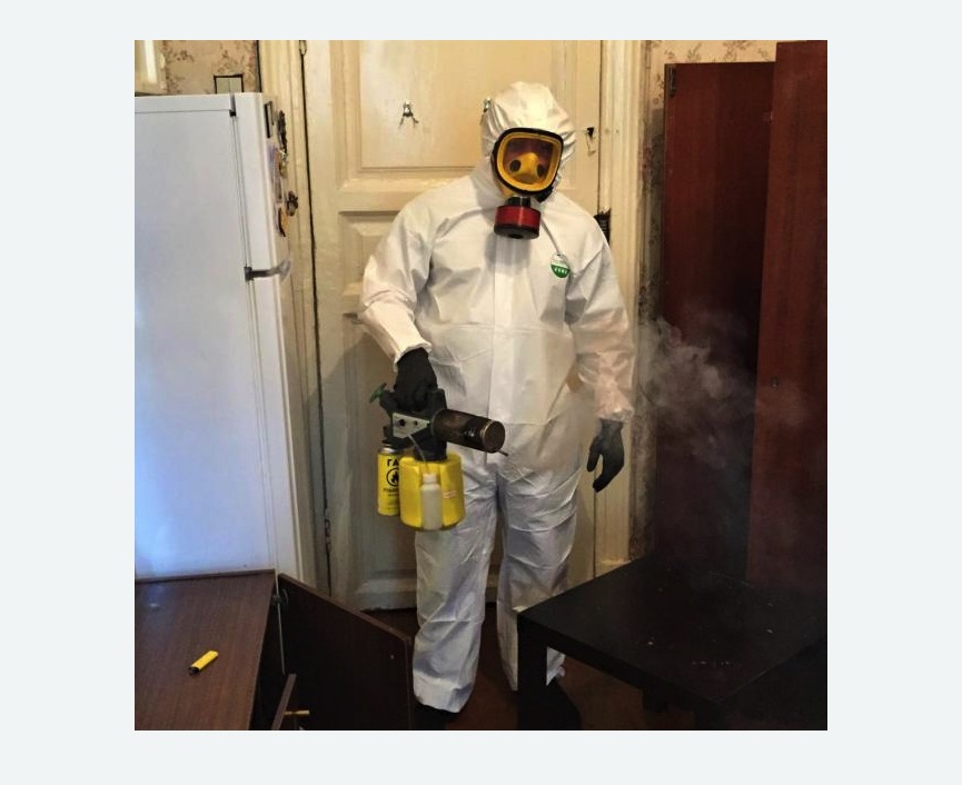 уничтожение муравьев в квартире в Морозовске